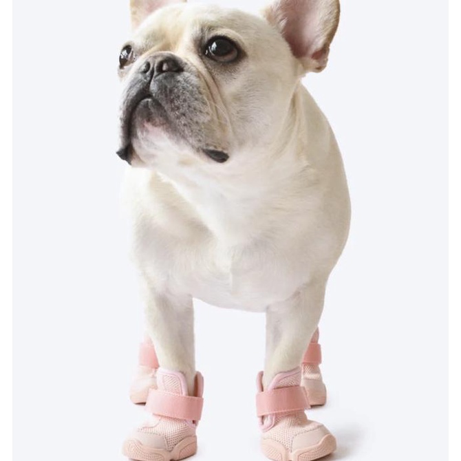 Jual RIFRUF QUEENS Cesar 1 dog shoes sepatu anjing premium Shopee