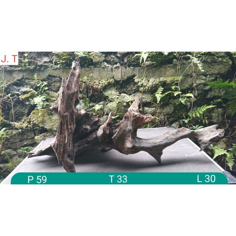 Jual Kayu Rentek Jumbo Tenggelam | Shopee Indonesia