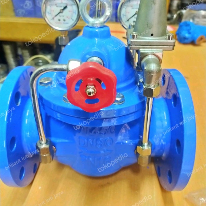 Jual Pressure Relief Valve 3" Inch / Safety Valve Pn16 Cast Iron/Prv