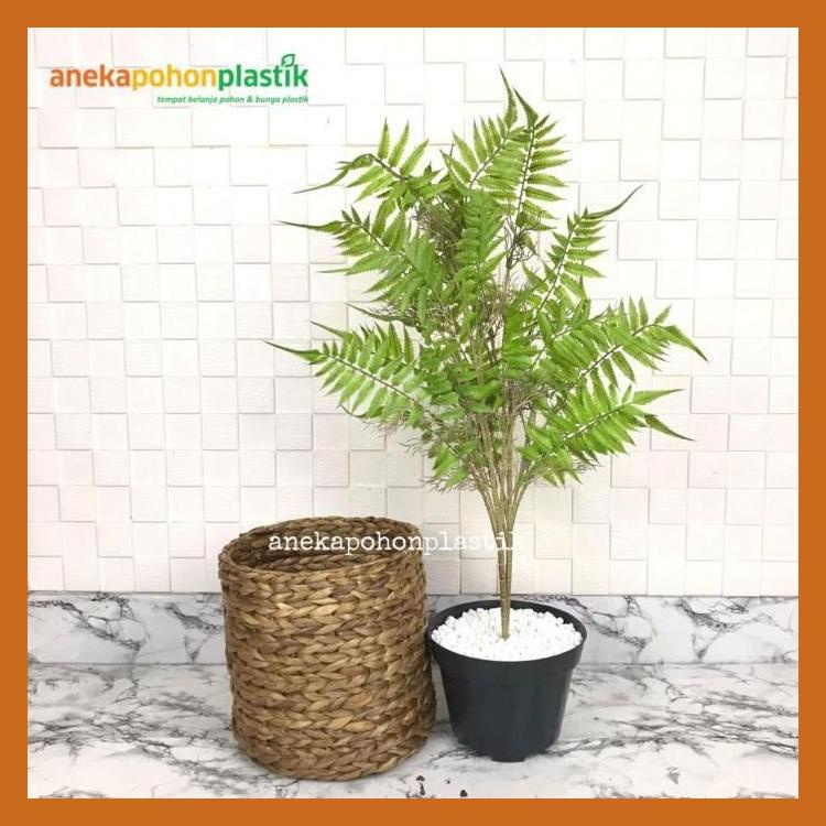 Jual Pohon Hias Daun Pakis Boston Akar X5 Latex Artificial Pot Eceng ...
