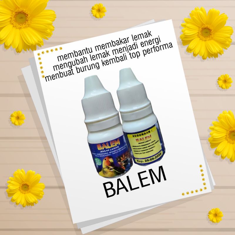 Jual BALEM vitamin penggacor burung kenari lovebird muray rahasia sang ...