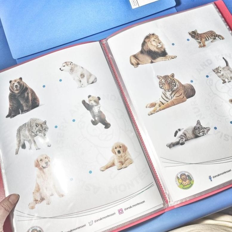 Jual Worksheet Wipe And Clean Buku Aktivitas Anak Montessori Usia 3-4 ...