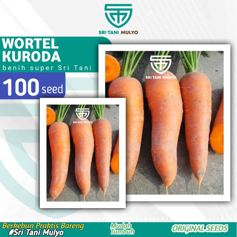 Jual 100 Biji Benih Wortel Unggul New Kuroda F1 Bibit Sayuran Benih Sayuran Takii Seeds 