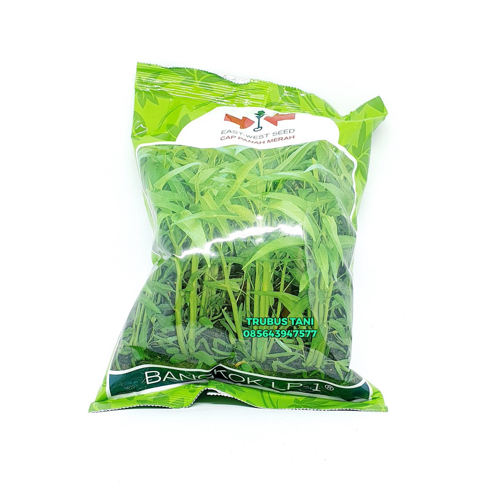 Jual Benih Kangkung Bangkok LP-1 Cap Panah Merah 1KG | Shopee Indonesia