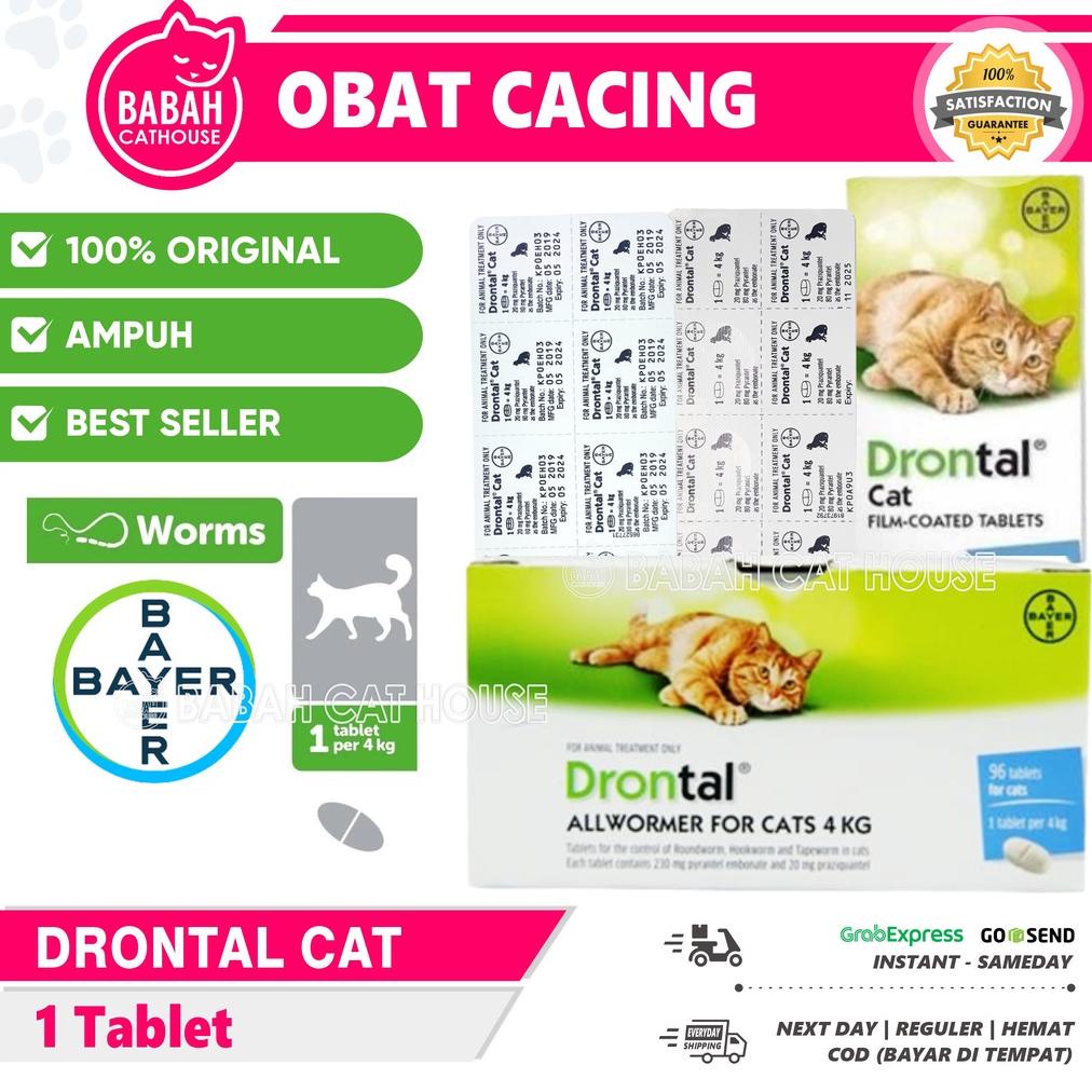 Jual DRONTAL CAT Asli Original Obat Cacing Kucing Anak Kitten Ampuh