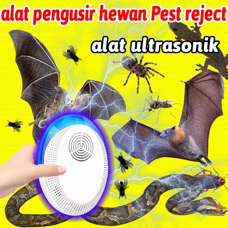 Jual Pest Reject Ultrasonic Originalalat Pengusir Tikus Kecoa Nyamuk