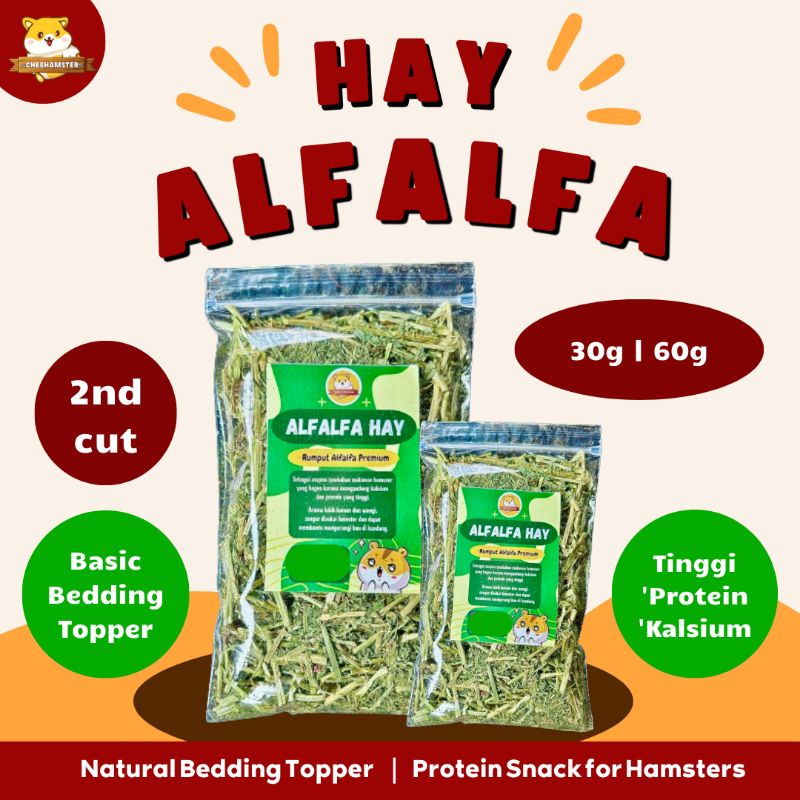 Jual Alfalfa Hay Premium | Snack Camilan Hamster Sehat | Shopee Indonesia