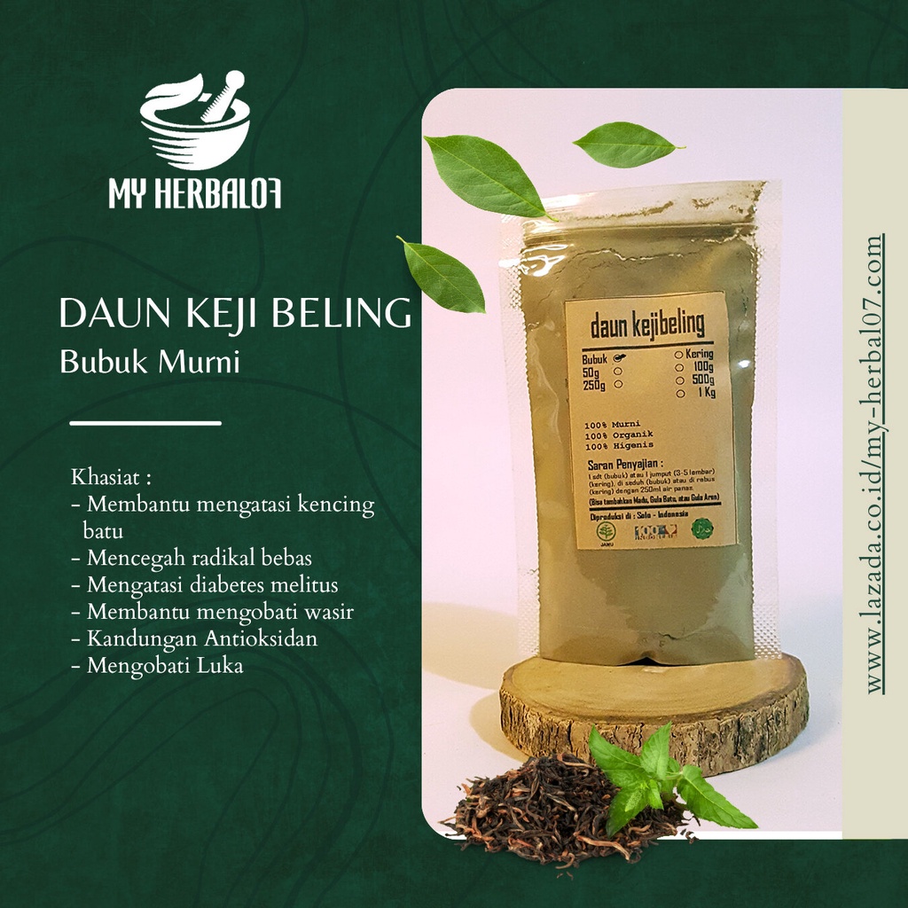 Jual Herbal Kesehatan Daun Keji Beling Kering / Strobilanthes Crispa 1 ...