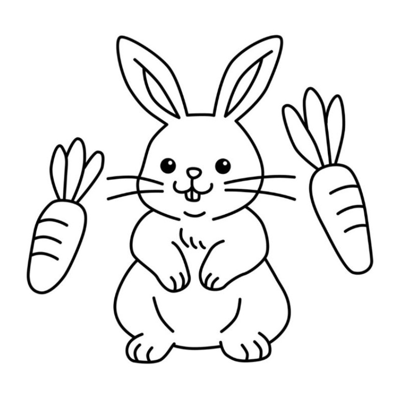 Jual Lembar Kertas A4 Gambar Sketsa Mewarnai Tema Hewan Drawing Seketsa