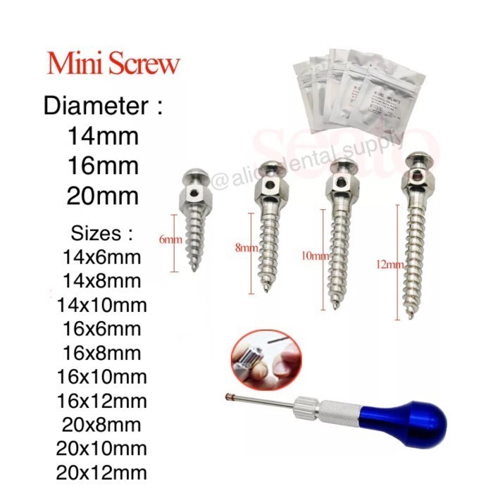 Jual Dental Mini Screw Ortho Orthodontic Screw Implant Screw Implan ...