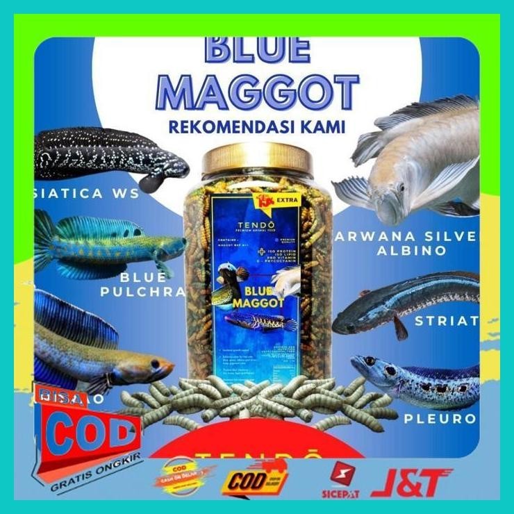 Jual MAGGOT KERING PAKAN MAKANAN IKAN ARWANA KOI CHANNA CANA SUPER RED ...