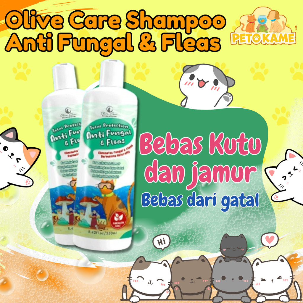 Stunning Olive Oil Flea Shampoo For Chicken Flea image