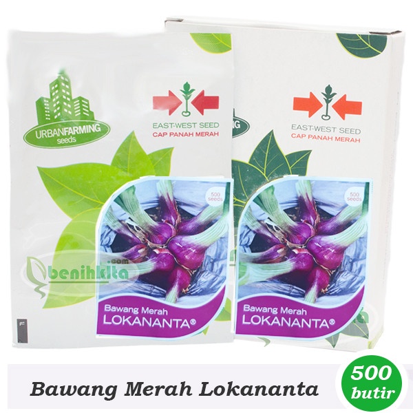 Jual Benih-Bibit Bawang Merah Lokananta (Cap Panah Merah) | Shopee ...