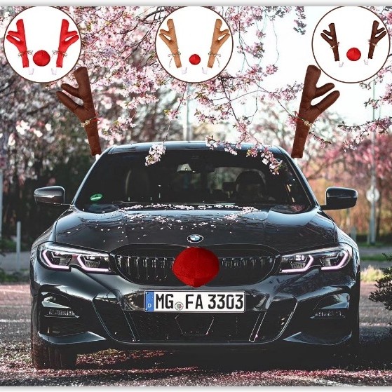 Reindeer Antlers For Car
