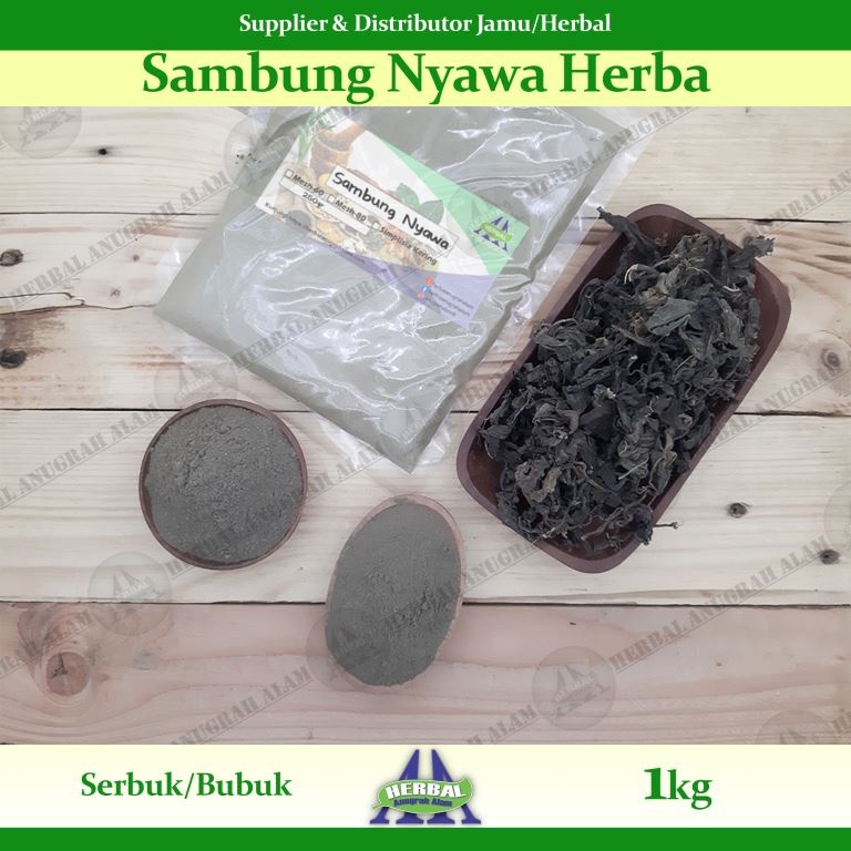 Jual Herba Sambung Nyawa (Bubuk) 1Kg | Gynura Procumbens - 100% Murni # ...