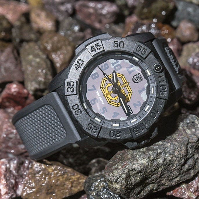 Harga jam tangan discount luminox series 3050