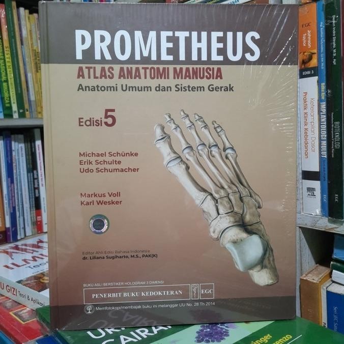 Jual ATLAS ANATOMI MANUSIA PROMETHEUS ORIGINAL DAN TERPERCAYA | Shopee ...