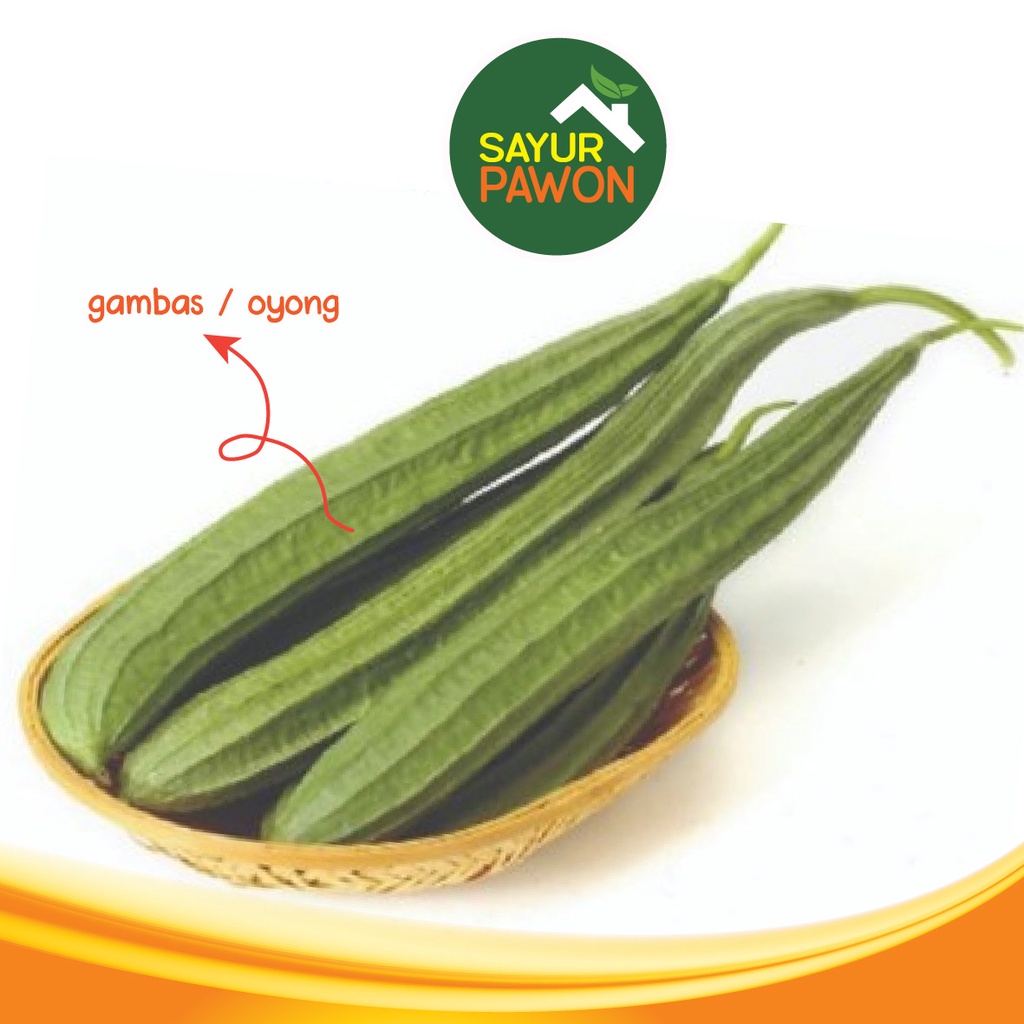 Jual Gambas Oyong Per Buah Sayur Pawon Jogja Shopee Indonesia