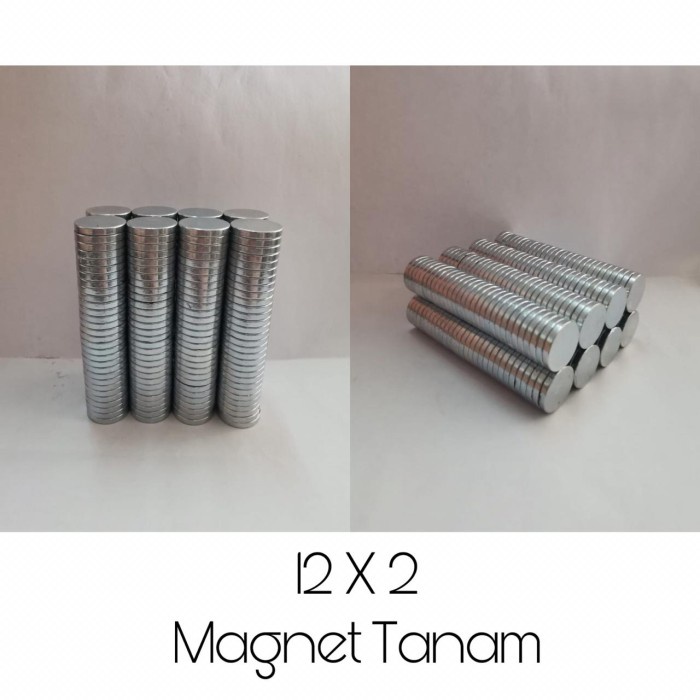 Jual magnet tanam neodymium 12x2 nikel | Shopee Indonesia