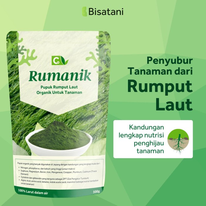 Jual Pupuk Ekstrak Rumput Laut Seaweed 500 gram RUMANIK/ Obat Tanaman ...