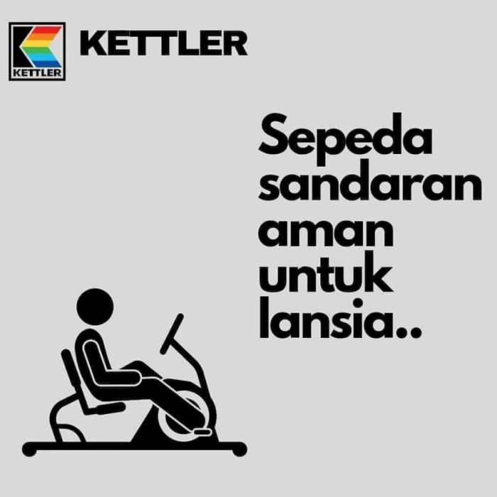 Jual Sepeda Statis KETTLER Recumbent Bike ECOBIKE RM