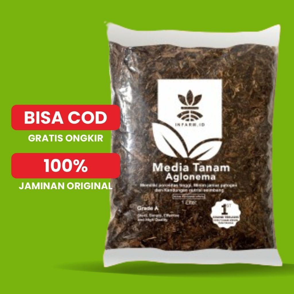 Jual Media Tanam Aglonema 1L Media Tanam Premium Fermentasi | Shopee ...