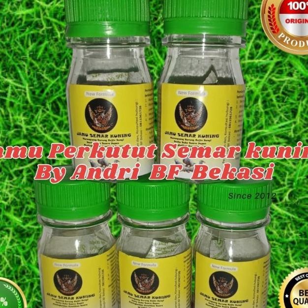 Jual Semar Kuning Andri Bf | Shopee Indonesia