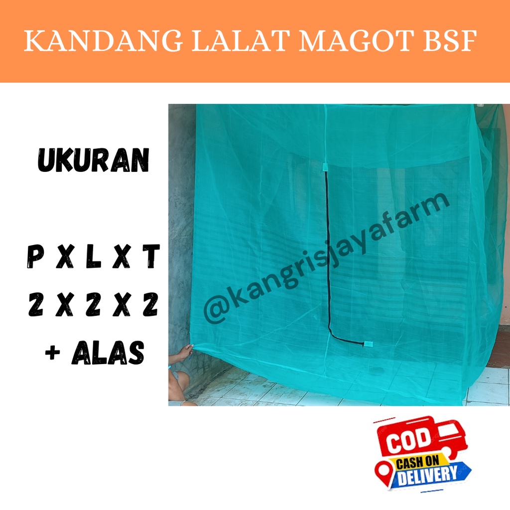 Jual Kandang Magot Lalat Bsf Portabel Jaring Kasa Hijau X X Shopee Indonesia