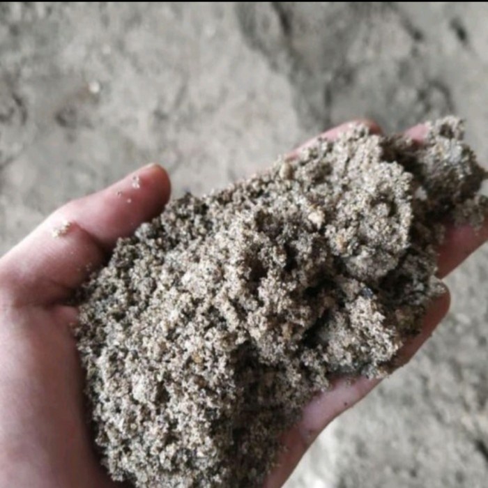 Jual New Ori Pasir Rangkas Engkel Isi 3 Kb Kirim Seputar Trg Kota Dan ...