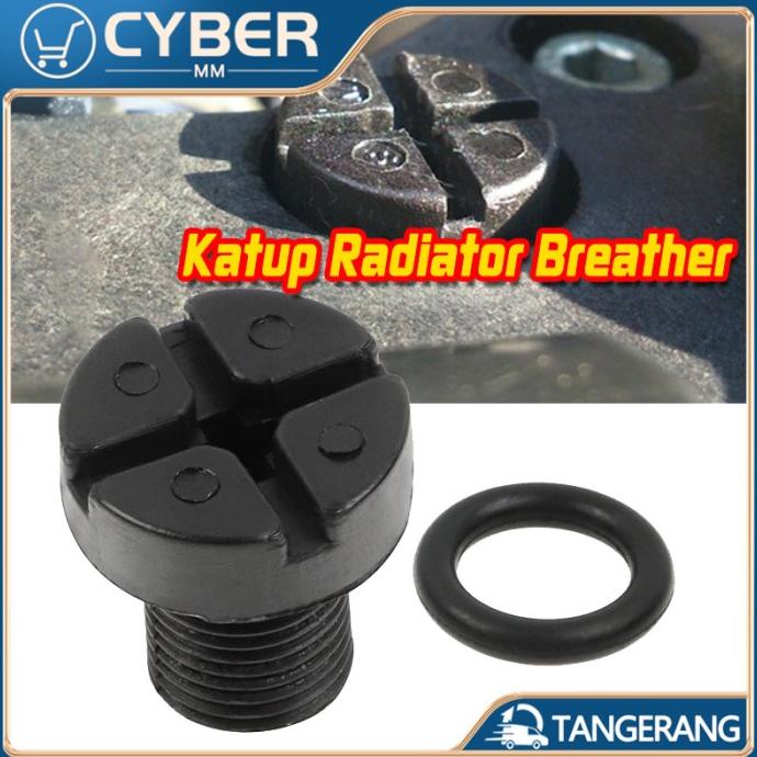 Jual 2Pcs Katup Radiator Breather / Baut Angin Radiator BMW ...