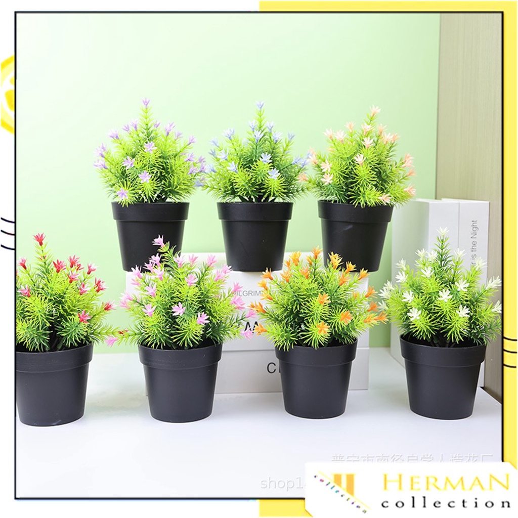 Jual HC Ornamen Tanaman Bunga 47 Bunga Rumput Artifisial Plastik Pot ...