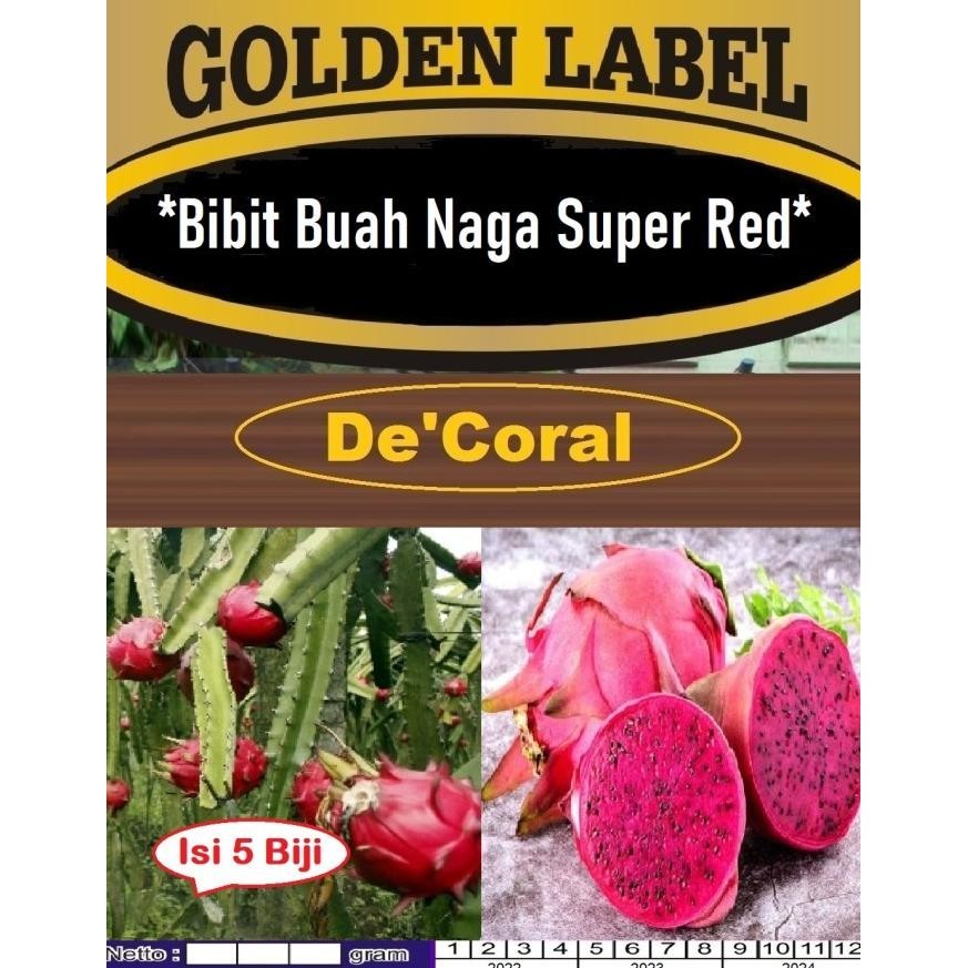 Jual Terbaru Bibit Buah Naga Super Red Bibit Dragon Fruit Benih Buah Naga Super Red Shopee