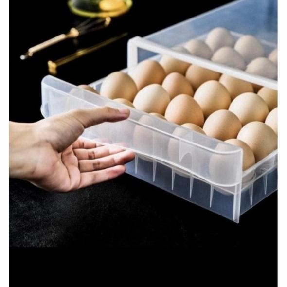 Jual Tempat Telur Plastik Isi 30 Egg Tray Rak Telur Box Kotak Telur ...