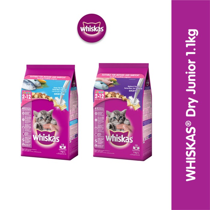 Jual WHISKAS MAKANAN KUCING KERING JUNIOR 1.1KG Shopee Indonesia