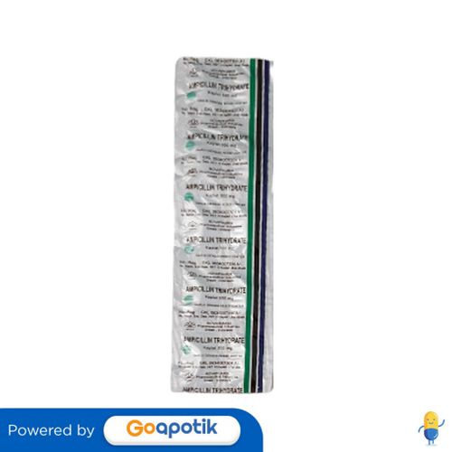 Jual AMPICILLIN TRIHYDRATE NOVAPHARIN 500 MG STRIP 10 KAPLET | Shopee ...
