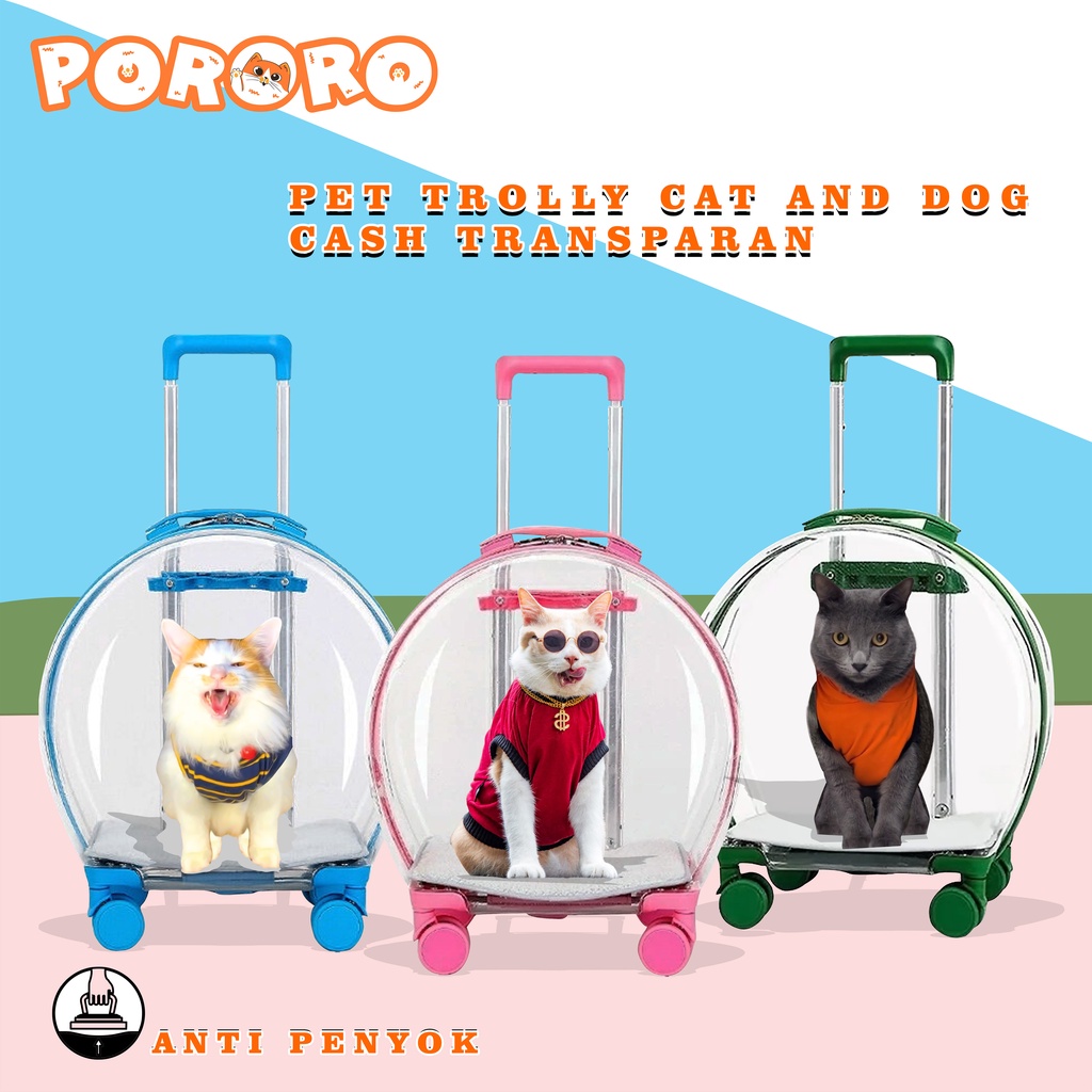 Pororo dog 2024