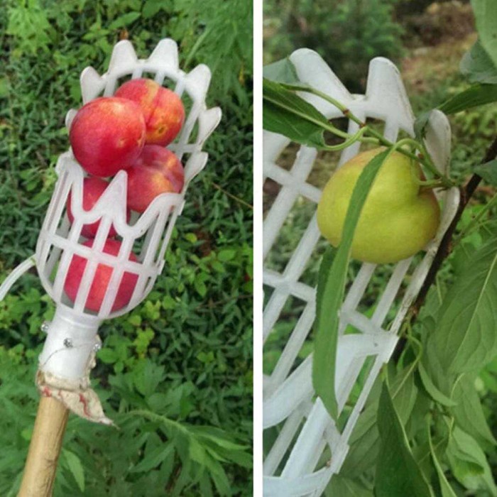 Jual Alat Pemetik Petik Panen Buah Jolok Galah Pengambil Pohon Fruit ...
