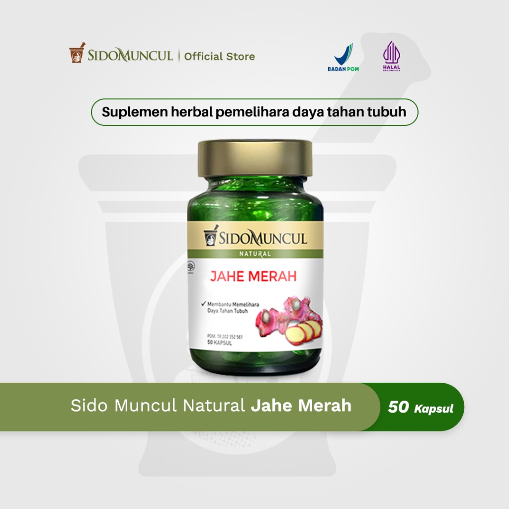 Jual Sido Muncul Natural Jahe Merah Sido Muncul - Membantu Memelihara ...