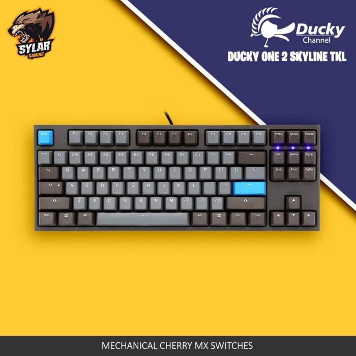 Jual Ducky One 2 Skyline TKL Version | Shopee Indonesia