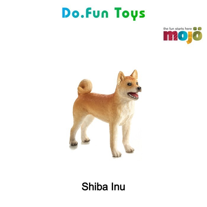 Jual best sale shiba inu