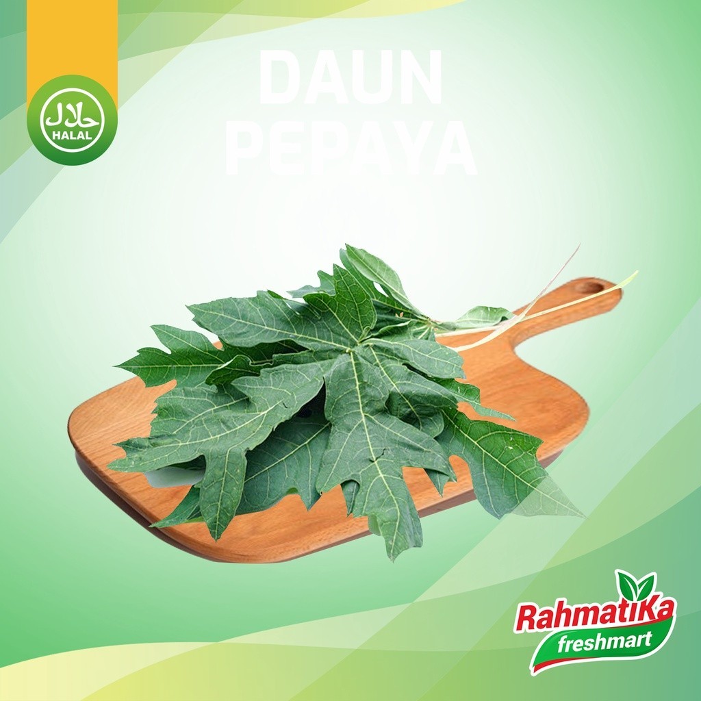 Jual Daun Pepaya Segar 1 Ikat Shopee Indonesia 1814