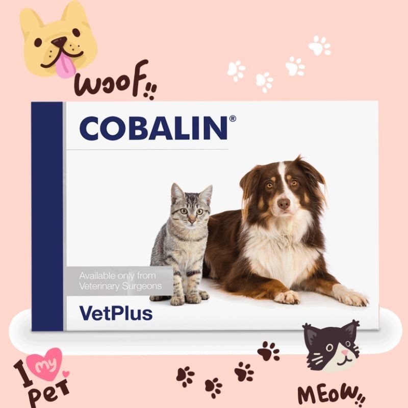 Jual VetPlus COBALIN vitamin B12 & B9 for Cat and Dogs, per 1 box(60caps) Shopee Indonesia
