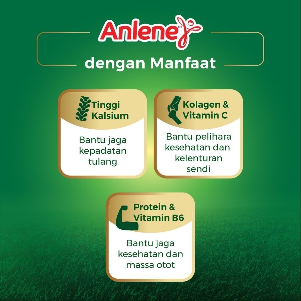 Jual Anlene Susu Bubuk Dewasa Cokelat 10 x 22g Sachet - Nutrisi Tinggi ...