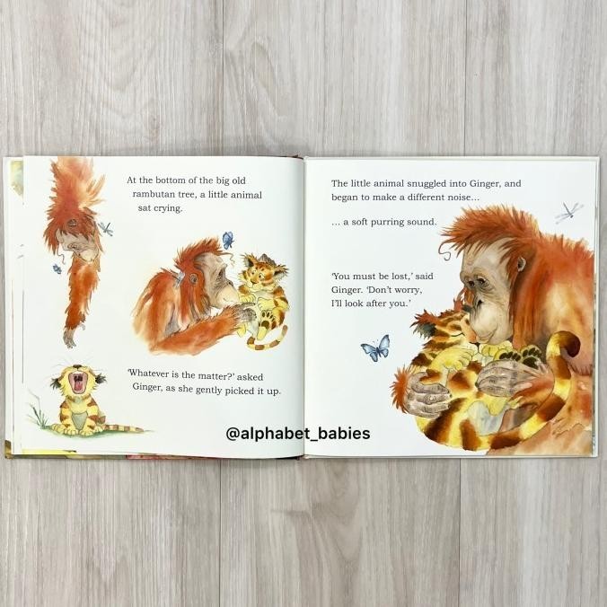 Jual [Ready] The Big Old Rambutan Tree Story Book Buku Edukasi Anak ...