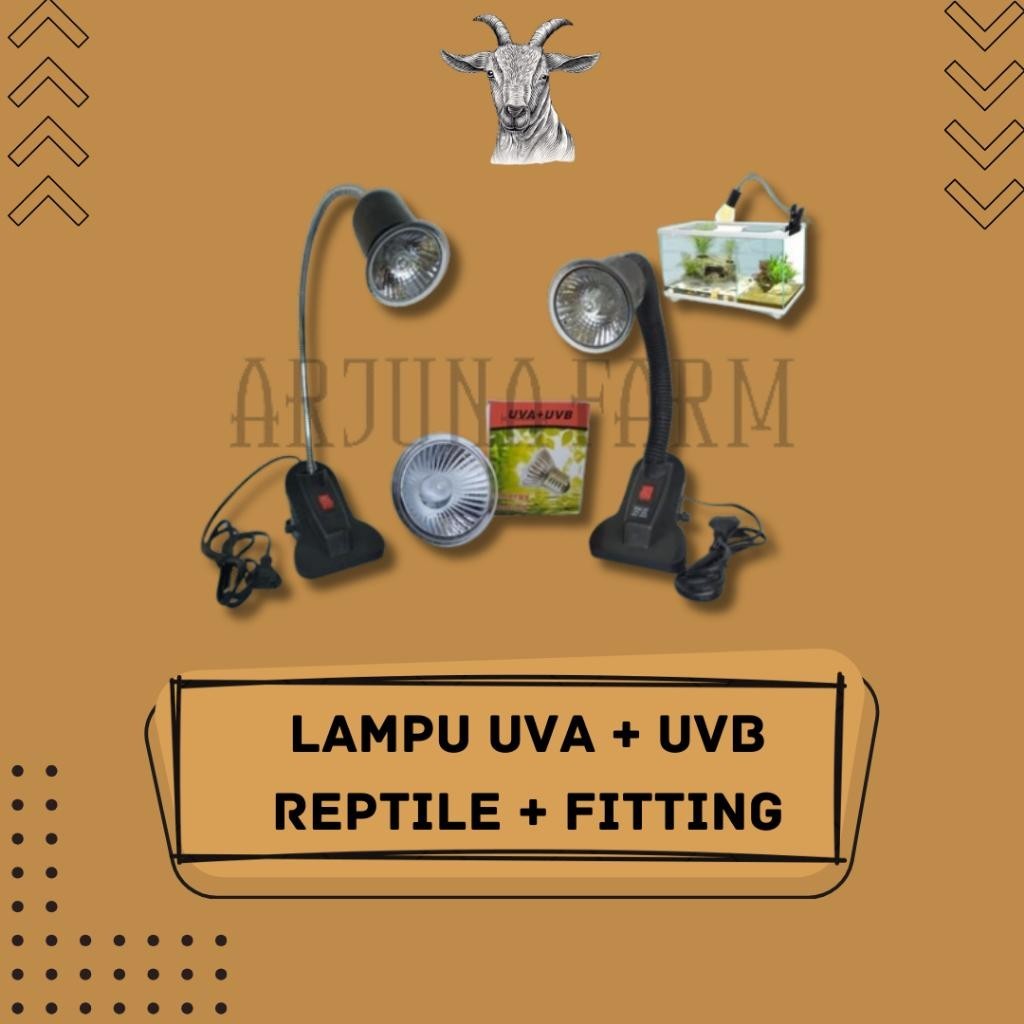 Jual Paket Fitting Lampu Reptil Dan Lampu Reptil Uva Uvb Penghangat Reptil Iguana Kura Kura Farm