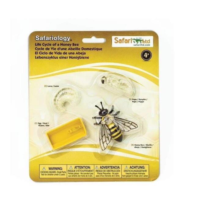Jual Safari Ltd Life Cycle Of A Honey Bee Ready | Shopee Indonesia