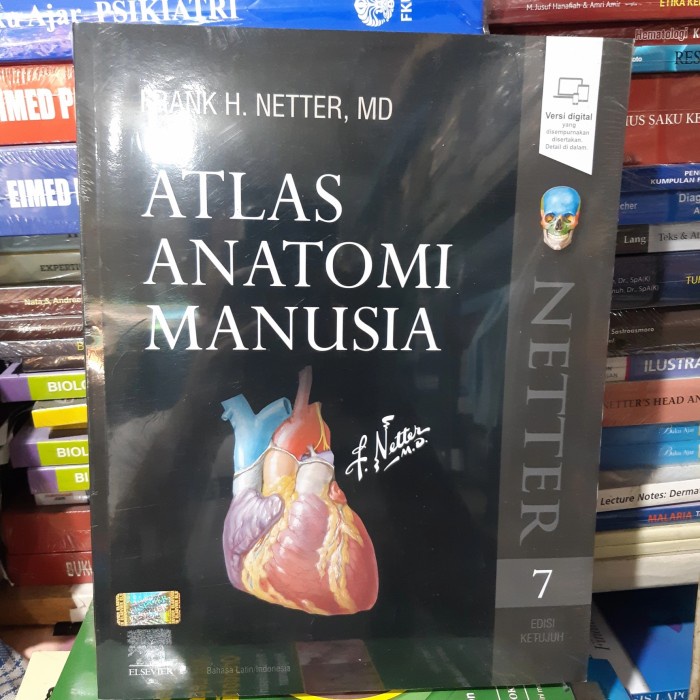 Jual [COD] Atlas Anatomi Manusia Edisi 7 Frank H Netter Diskon | Shopee ...