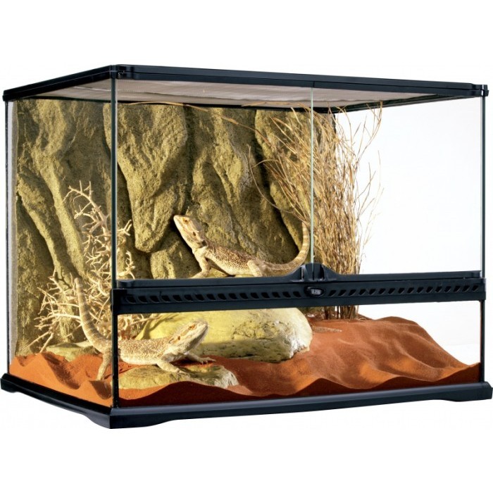 Jual Vivaria Glass Terrarium 35 x 45 x 60 cm Reptil Frog Snake ...