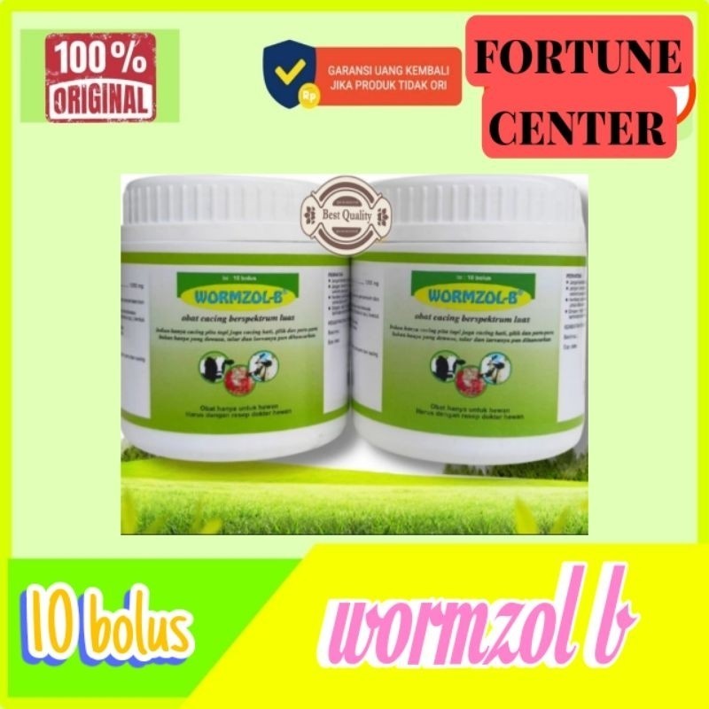 Jual 1 BOTOL WORMZOL B 10 BOLUS 1 POT OBAT CACING SAPI KUDA KERBAU BY ...