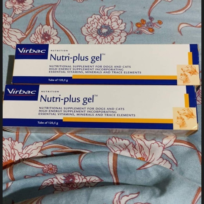 Jual nutriplus gel kucing 120 gr | Shopee Indonesia